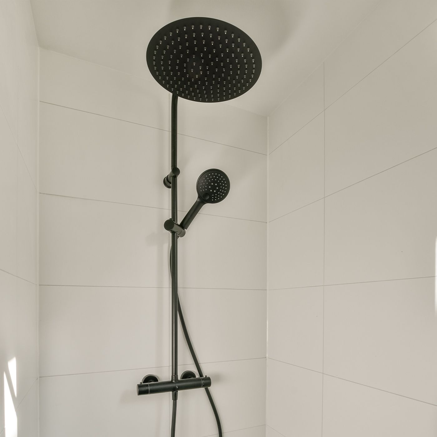 best dual shower head