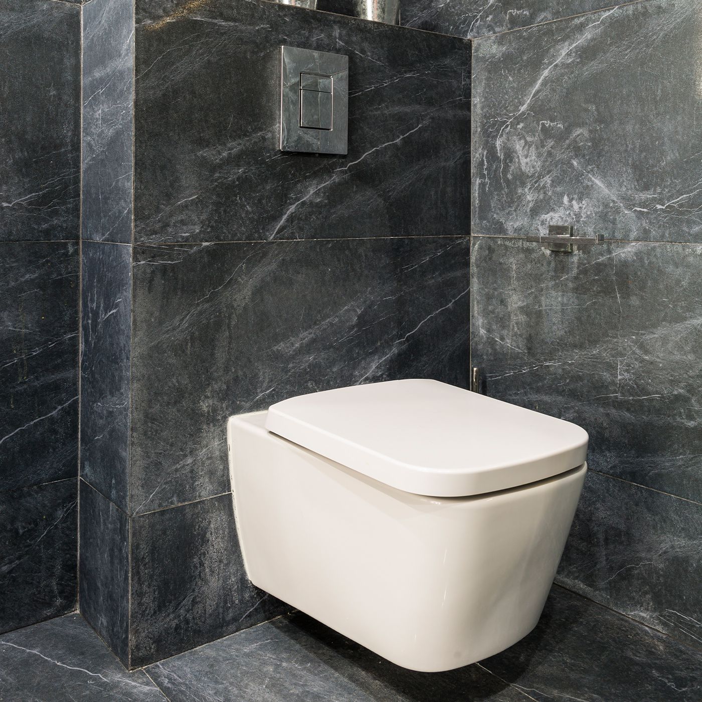 Toilet Seat Types