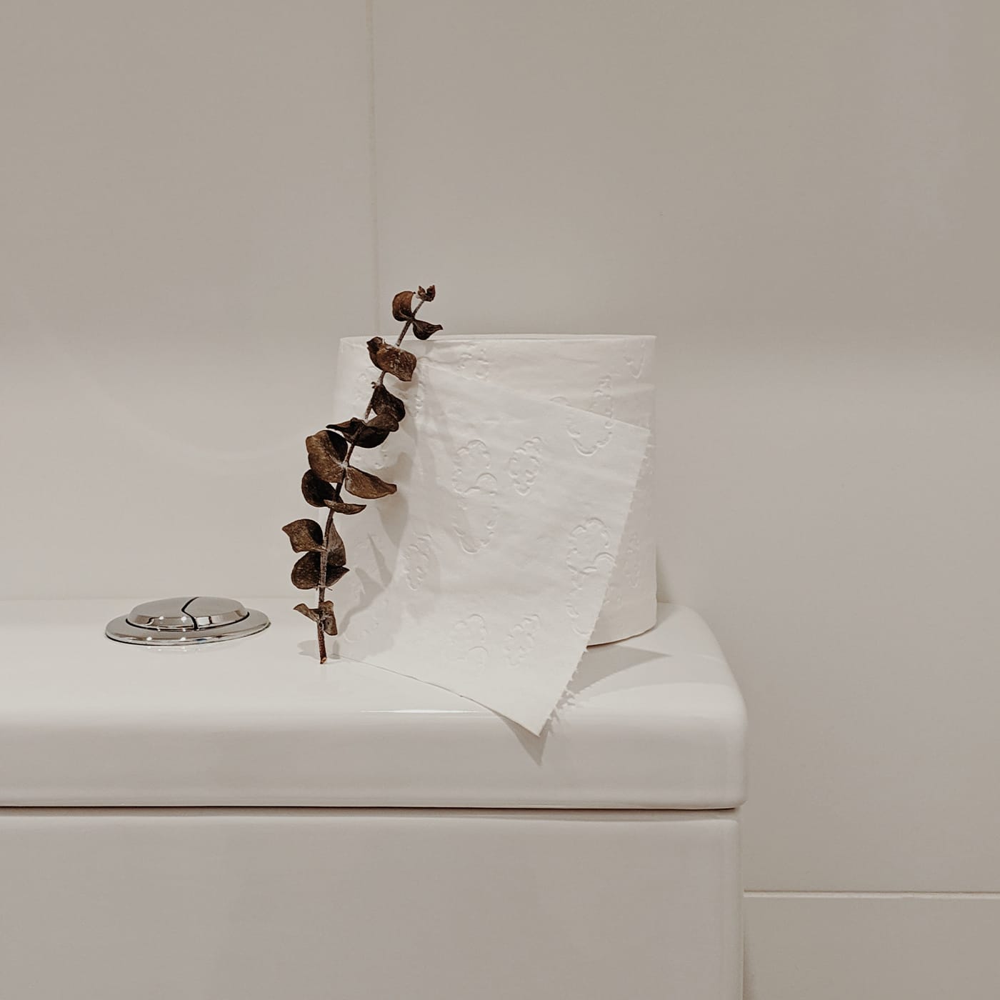 best dual flush toilet