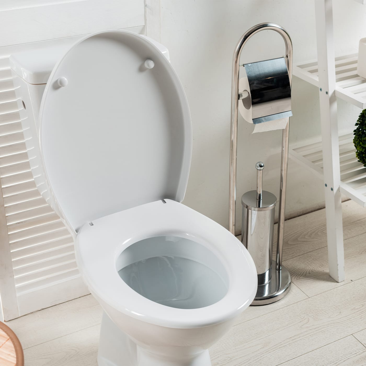 best toilet seal