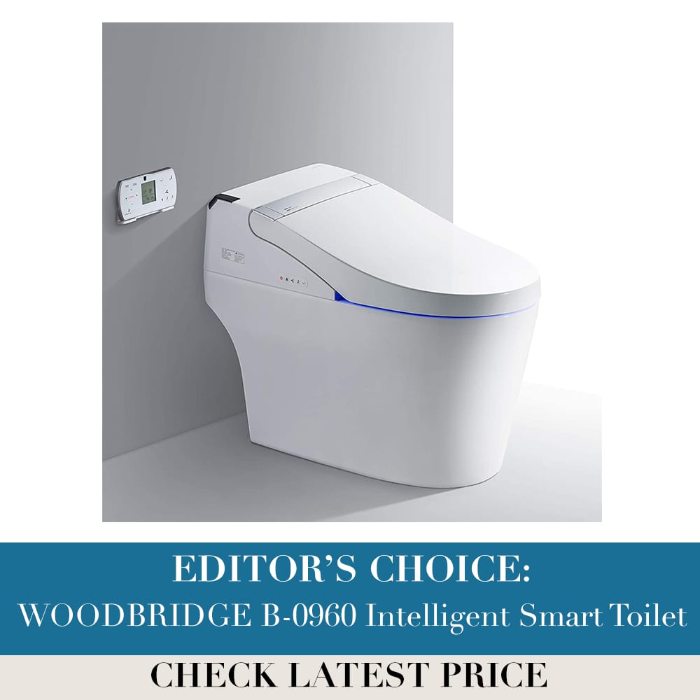 WOODBRIDGE B-0960 Intelligent Smart Toilet