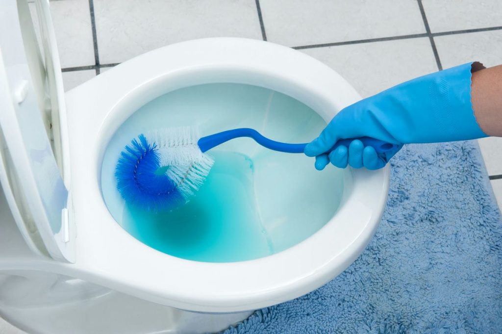Cleaning toilet - A woman cleans a bathroom toilet with a scrub brush.