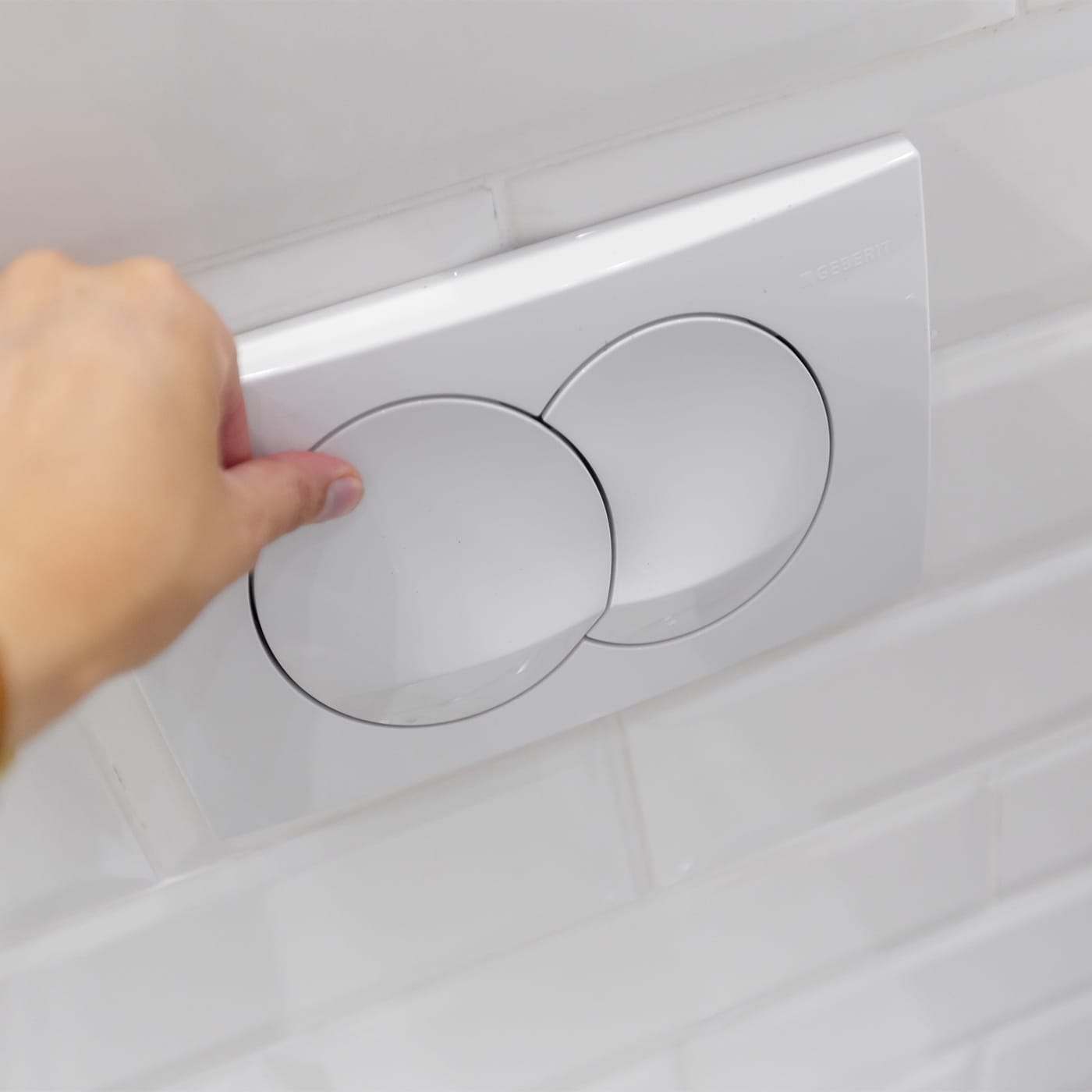 dual flush vs single flush