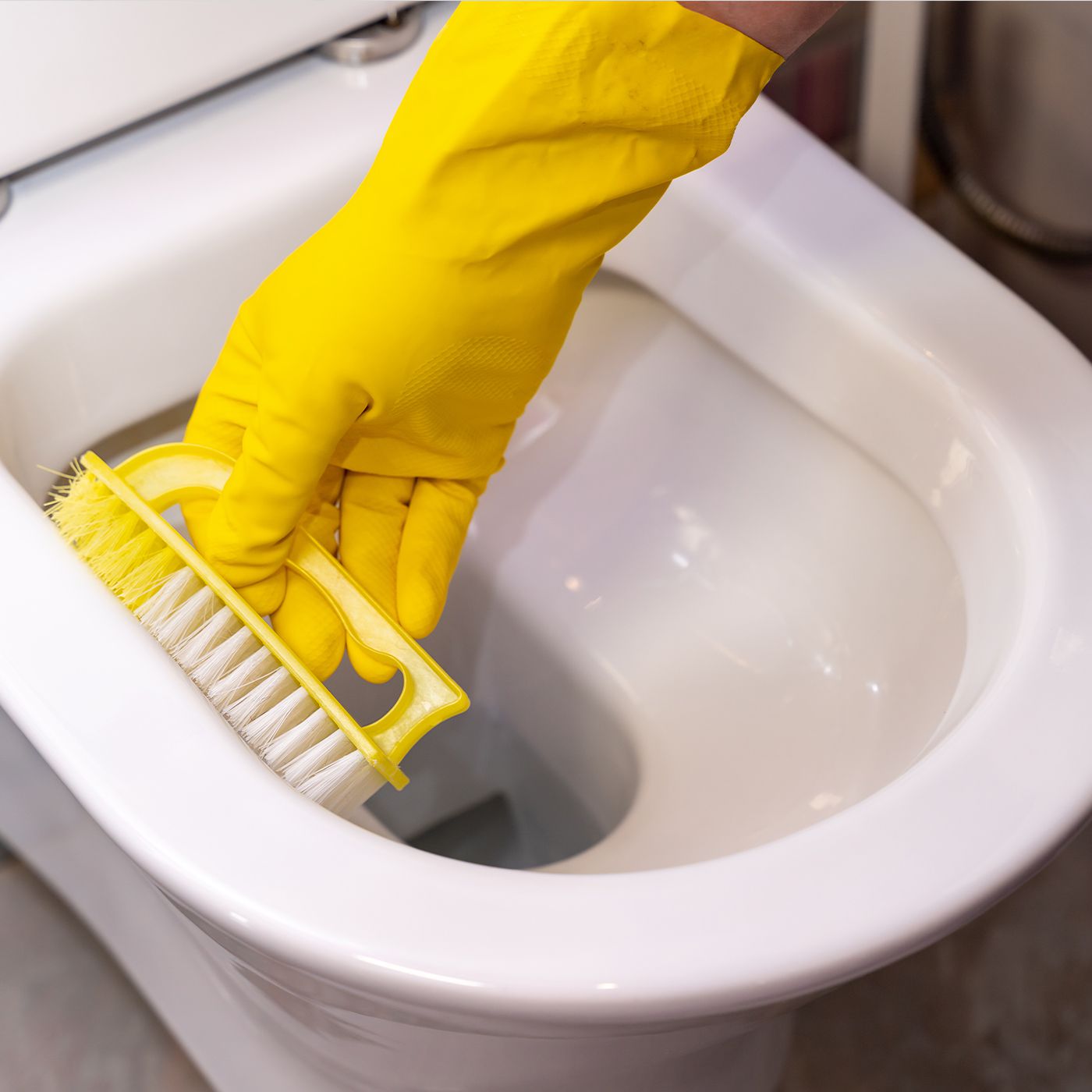 how to clean toilet siphons
