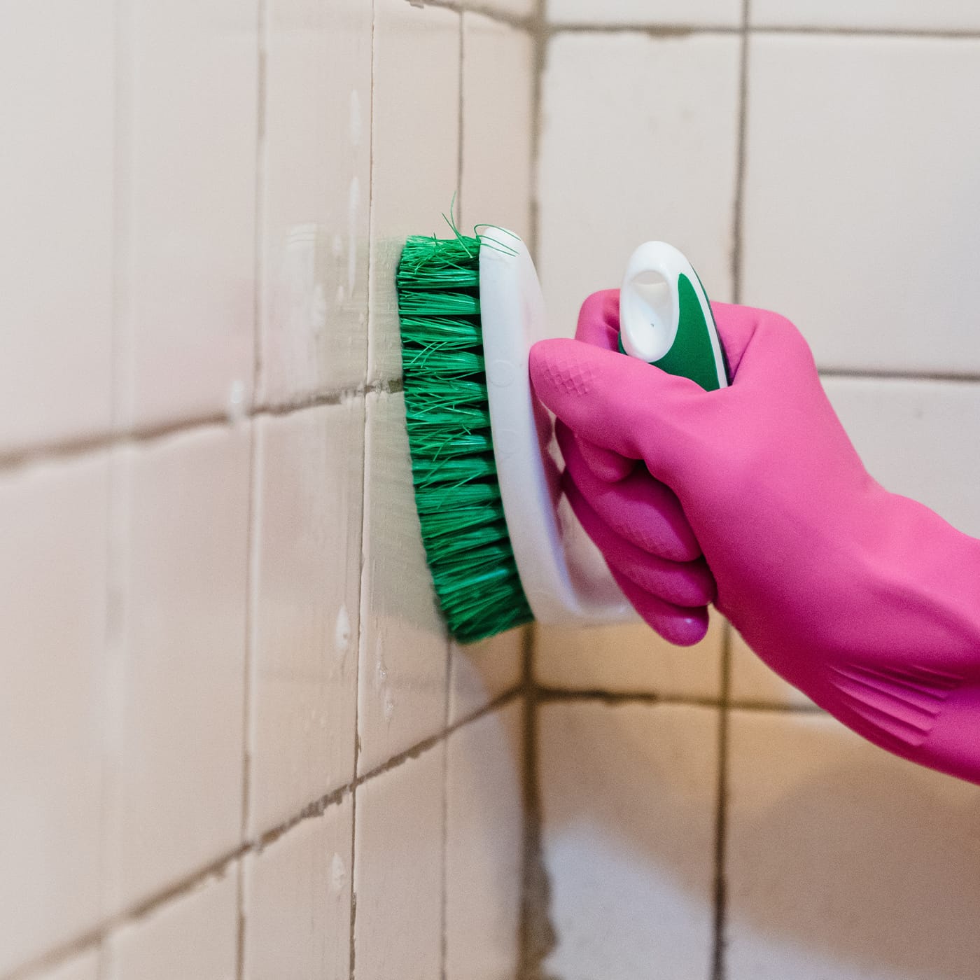 how to get rid of black worms in bathroom