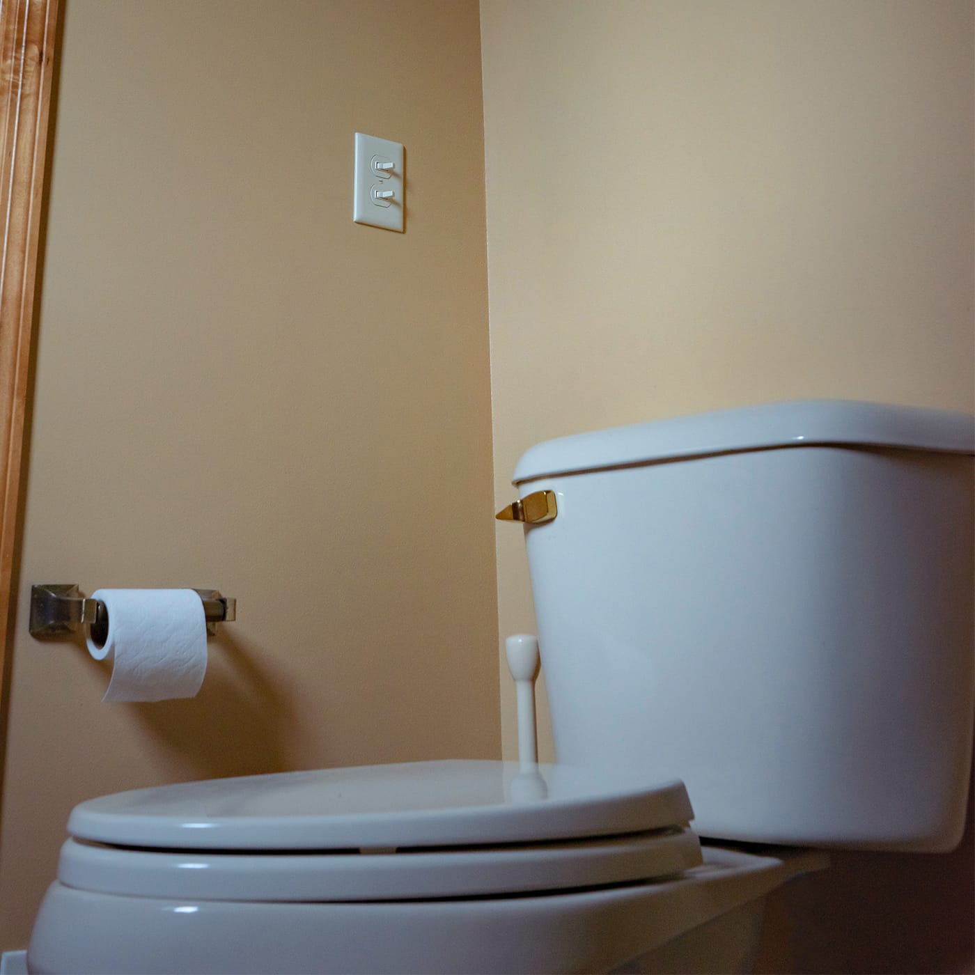 wooden vs plastic toilet seats