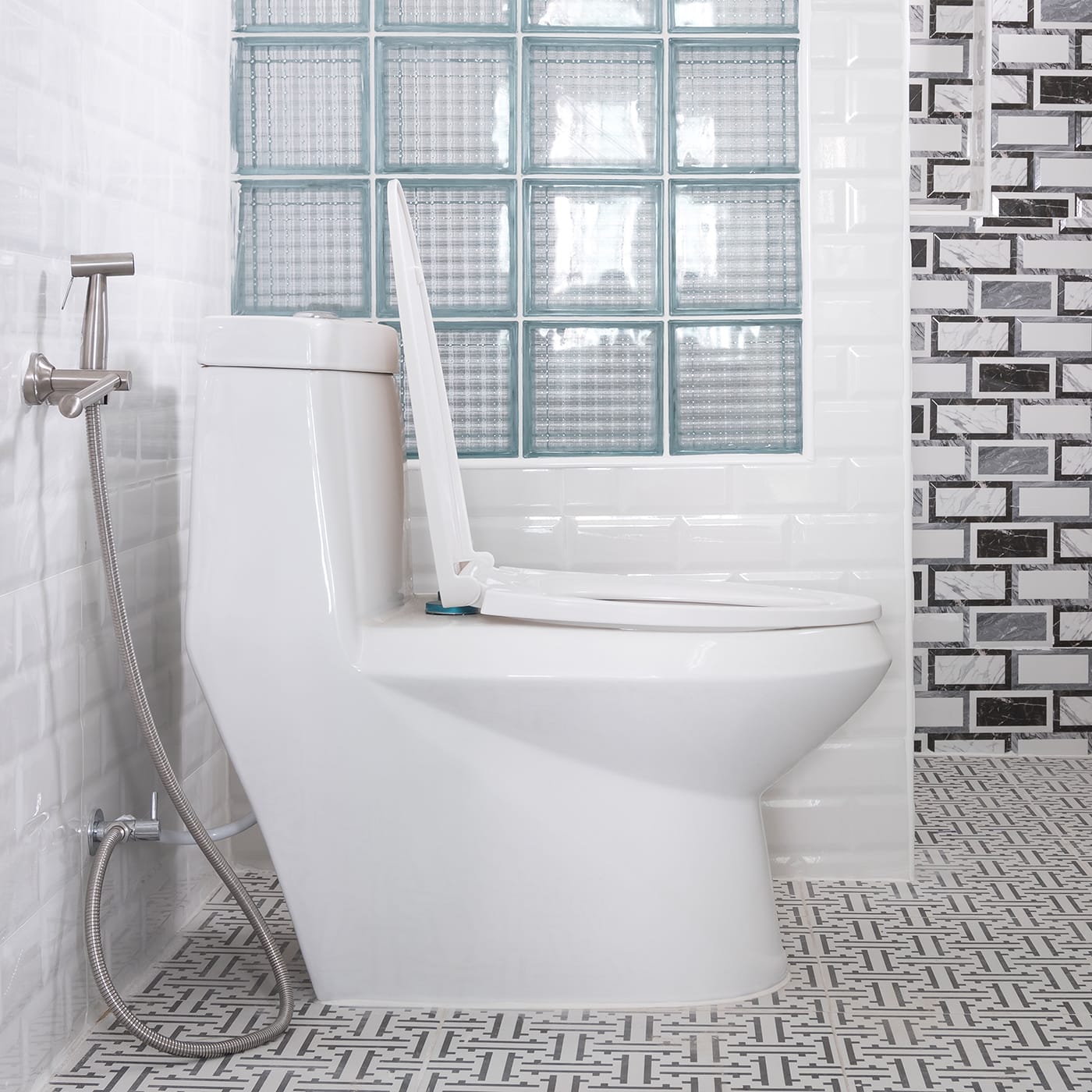 proflo toilet reviews
