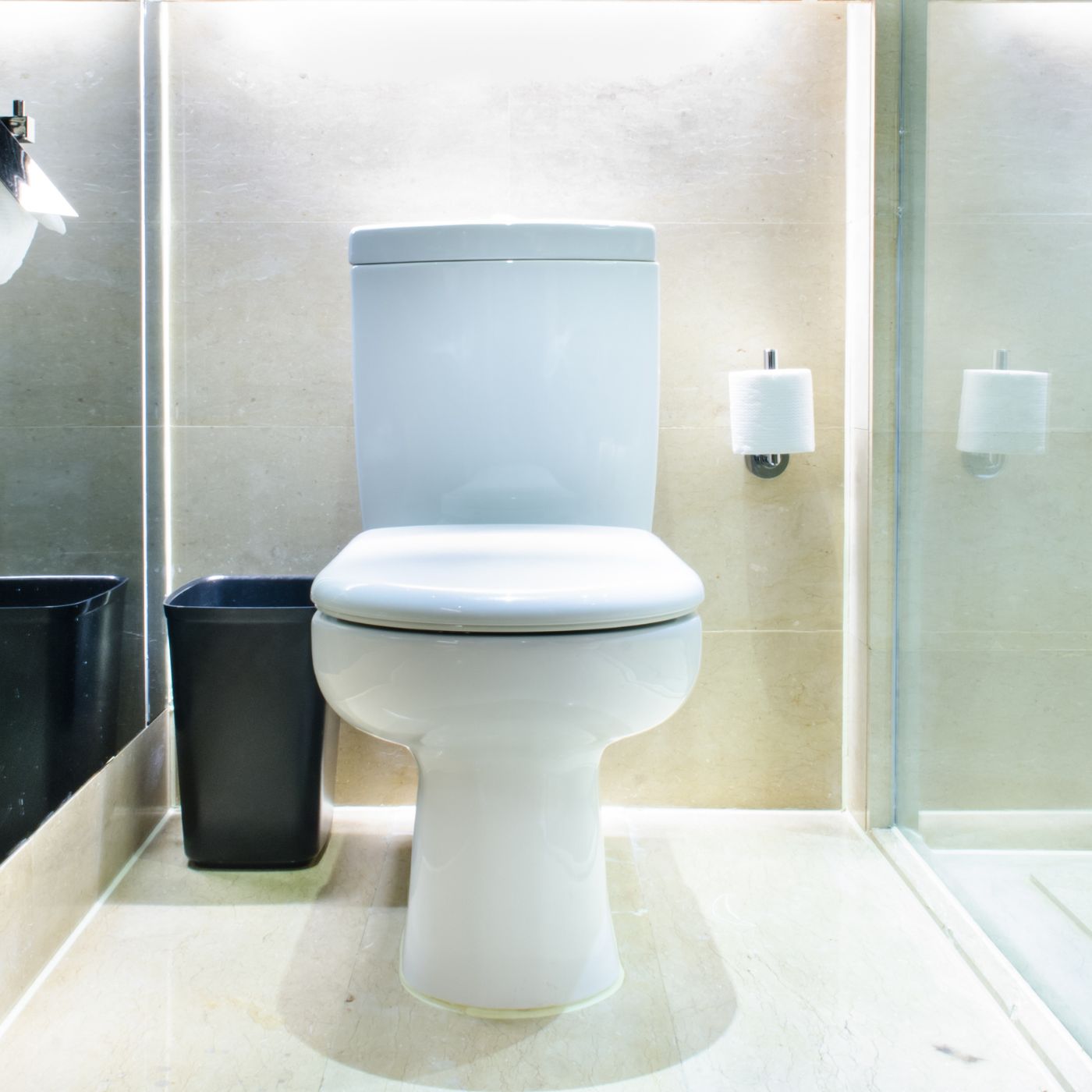 icera toilets review