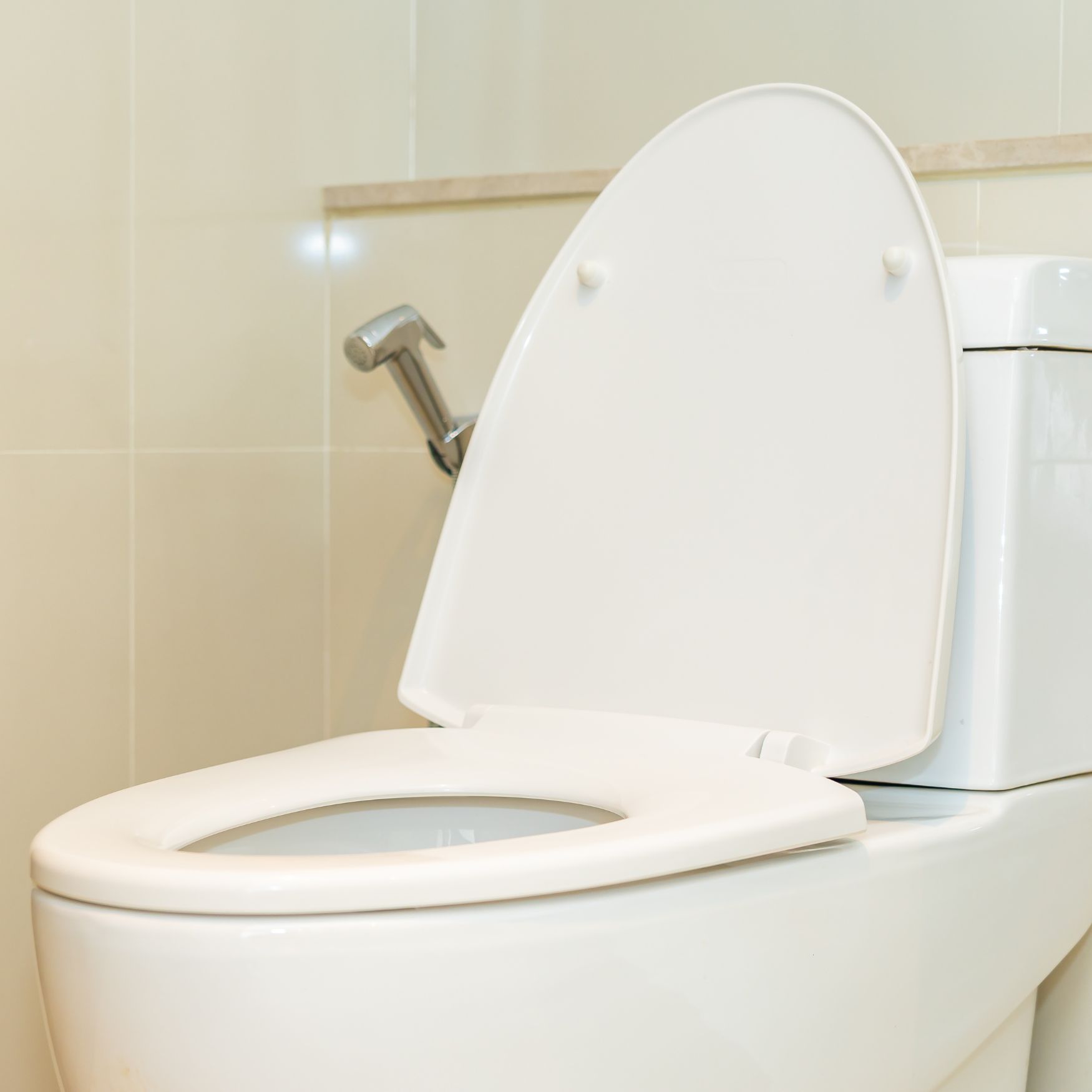 best toilet seat